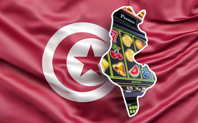 Casino in Tunisia Turnkey online casino in Tunisia