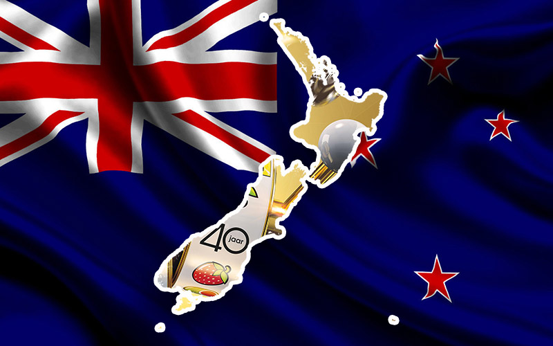 Gaming in New Zealand Gaming sphere in New Zealand: key notions